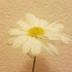 Meet your Posher, Mayela